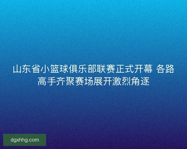 山东省小篮球俱乐部联赛正式开幕 各路高手齐聚赛场展开激烈角逐