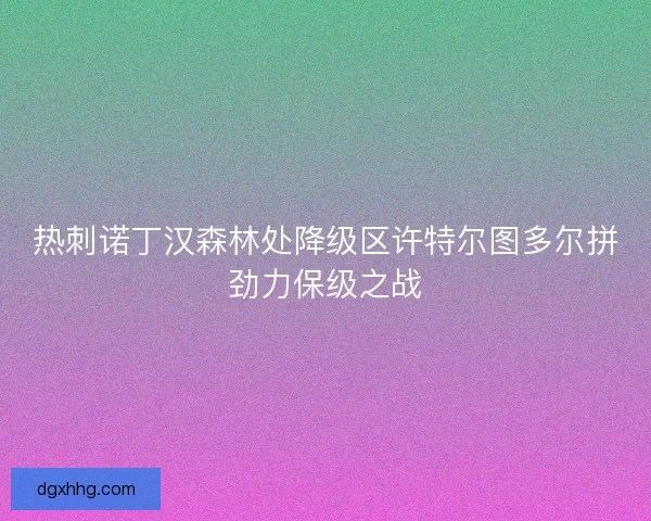 热刺诺丁汉森林处降级区许特尔图多尔拼劲力保级之战